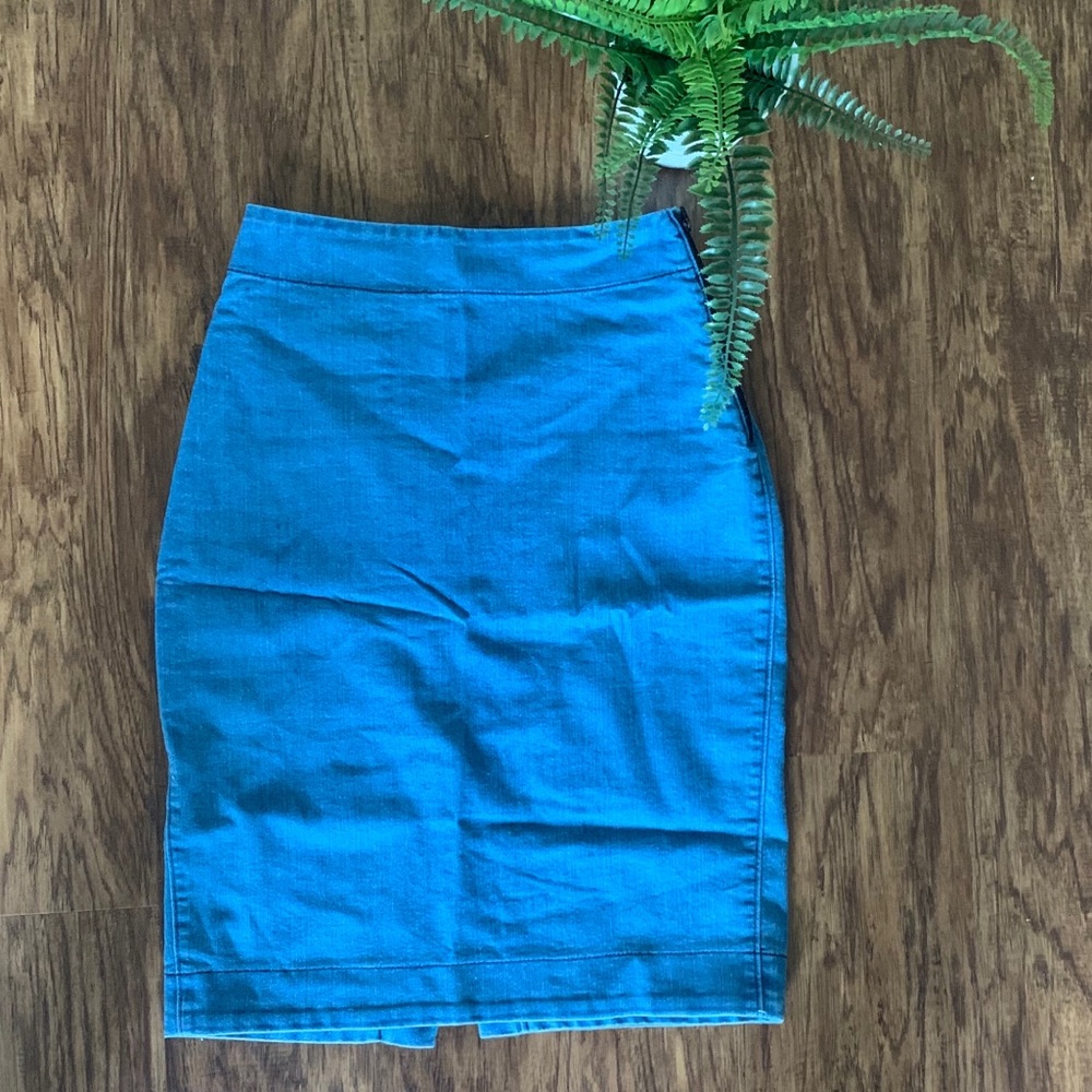 Prairie Underground Jean Skirt